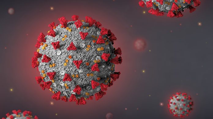 Covid 19 - proteina spike