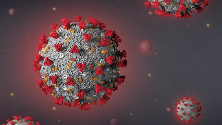 Covid 19 - proteina spike
