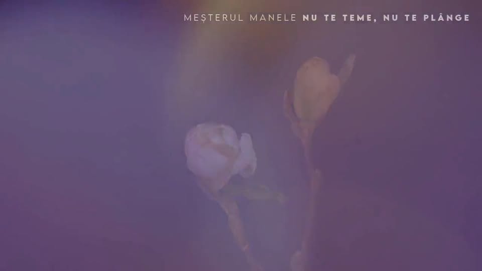 Supun atenției onor amici Facebook piesa ”Nu te teme, nu te plânge”, o piesă pe Supun atenției onor amici Facebook piesa ”Nu te teme, nu te plânge”, o piesă pe