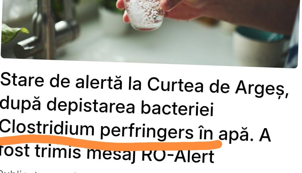 În acest caz, bacteria cea periculoasă ar trebui să fie denumită precum sunt den În acest caz, bacteria cea periculoasă ar trebui să fie denumită precum sunt den